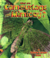 WHAT ARE CAMOUFLAGE & MIMICRY