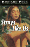 STRAYS LIKE US