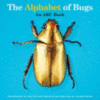 ALPHABET OF BUGS : AN ABC BOOK