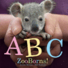 ABC ZOOBORNS!