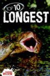 TOP 10 LONGEST