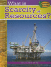 WHAT IS SCARCITY OF RESOURCES?