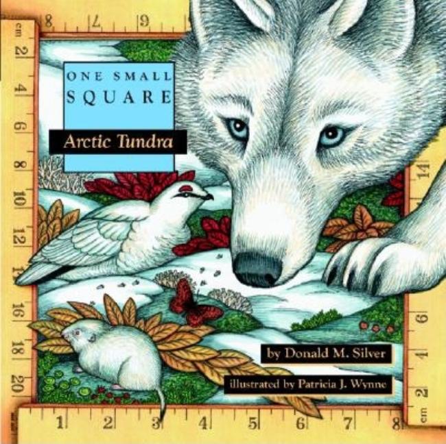 Тундра книга. Ина тундра книга. One small Square Donald Silver. Wolf and Hare. One small Square Donald Silver Pond.