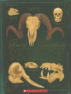 SKULLS