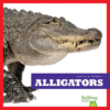ALLIGATORS (REPTILE WORLD)