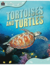 ANIMAL LIVES: TORTOISES
