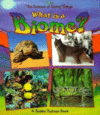 WHAT IS A BIOME