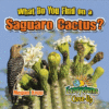WHAT DO YOU FIND ON A SAGUARO CACTUS?