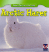 ARCTIC HARES