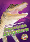 AMERICAN ALLIGATORS
