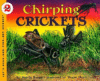 CHIRPING CRICKETS : STAGE 2
