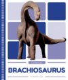 Brachiosaurus ( Dinosaurs )