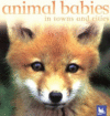 ANIMAL BABIES IN TOWNS AND CITIES (BOARD