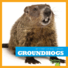 GROUNDHOGS