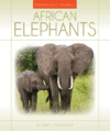 African Elephants (LB)