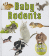 BABY RODENTS