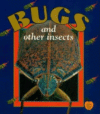 BUGS & OTHER INSECTS