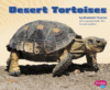 DESERT TORTOISES (LB)