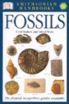 Fossils: The Clearest Recognition Guide Available