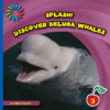 DISCOVER BELUGA WHALES (LB)