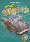BABY HIPPOS