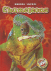 CHAMELEONS