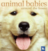 ANIMAL BABIES AROUND THE HOUSE (BOARD)