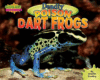 DEADLY POISON DART FROGS (LB)
