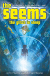 GLITCH IN SLEEP #1 (SEEMS)