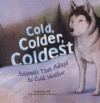 COLD  COLDER  COLDEST : ANIMALS THAT ADA