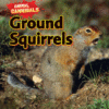GROUND SQUIRRELS
