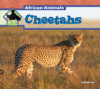 Cheetahs ( African Animals )