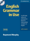 ENGLISH GRAMMAR IN USE WITH ANSWERS : A