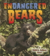 ENDANGERED BEARS