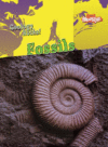 FOSSILS