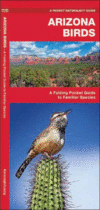 ARIZONA BIRDS : AN INTRODUCTION TO FAMIL