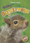 BABY SQUIRRELS