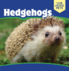 Hedgehogs (Our Weird Pets)(LB)