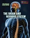 BRAIN & NERVOUS SYSTEM