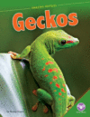 Geckos ( Amazing Reptiles )