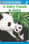 BABY PANDA IS BORN (ALL ABOARD LVL 2)
