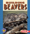 BUILDING BEAVERS