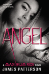 ANGEL #7 (HC)