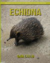 Echidna: Amazing Fun Facts and Pictures about Ech