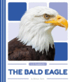 Bald Eagle ( US Symbols)