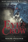 EYE OF THE CROW