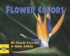 FLOWER COLORS