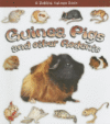 GUINEA PIGS & OTHER RODENTS