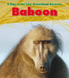 Baboon (Day in the Life: Grassland Animals)(LB)
