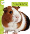Guinea Pigs ( Spot Pets )